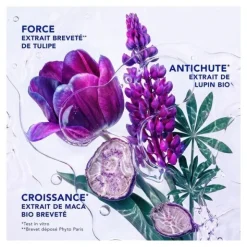 Phytocyane Intensive+ traitement antichute progressive Femme