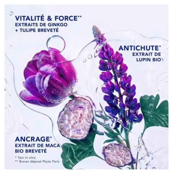 Phytocyane shampooing antichute femme