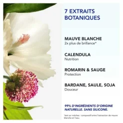 Phyto 7 Elixir crème de jour universelle