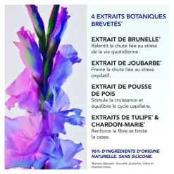 Phytophanère Antichute réactionnelle ampoule