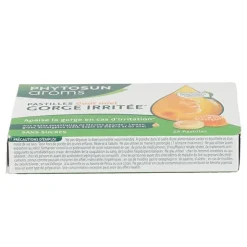 Phytosun Arôms pastilles Gorge irritée goût miel