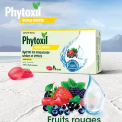 Phytoxil Mal de goge pastilles Fruits rouges