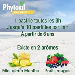 Phytoxil Mal de goge pastilles Fruits rouges