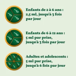 Phytoxil Toux et Gorge sirop