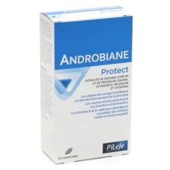 Pileje Androbiane comprimés