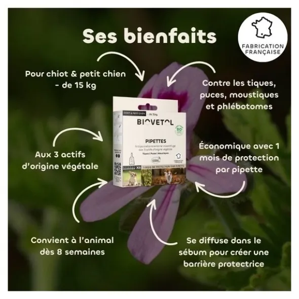 Pipette antiparasitaire chien Biovetol Bio
