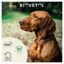 Pipette antiparasitaire chien Biovetol Bio
