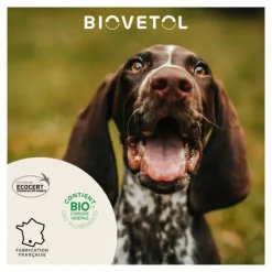Pipette antiparasitaire chien Biovetol Bio