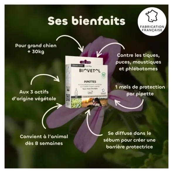 Pipette antiparasitaire chien Biovetol Bio