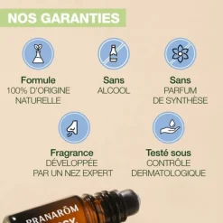 Pranarôm Aromaboost Sleep Roll-on Sommeil Bio