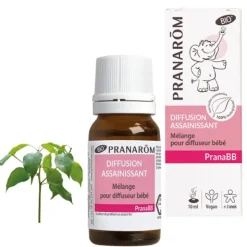 Pranarôm PranaBB diffusion assainissant Bio