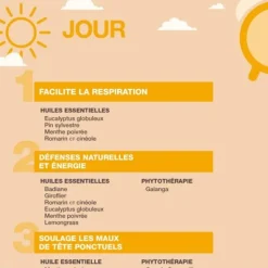Pranarom Aromaforce Coups de froid Jour Nuit capsules