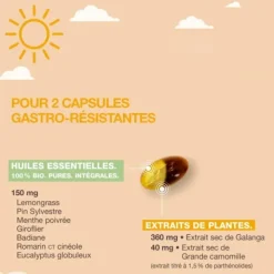 Pranarom Aromaforce Coups de froid Jour Nuit capsules