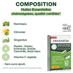 Pranarom Aromaforce Coups de froid sachets