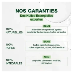 Pranarom huile essentielle Badiane Bio
