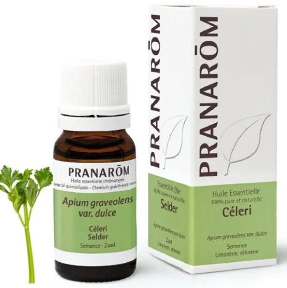 Pranarom Huile essentielle Céleri