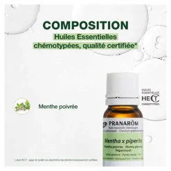 Pranarom huile essentielle de Menthe poivrée Bio