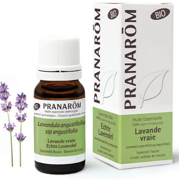Pranarom huile essentielle de Lavande vraie bio