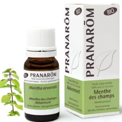 Pranarom huile essentielle de Menthe des champs Bio