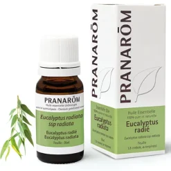 Pranarom huile essentielle Eucalyptus radié