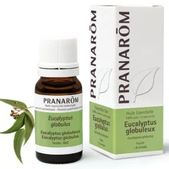 Pranarom huile essentielle Eucalyptus globuleux