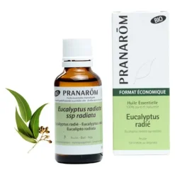 Pranarom huile essentielle Eucalyptus radié Bio