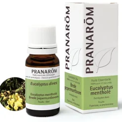 Pranarom Huile essentielle Eucalyptus mentholé