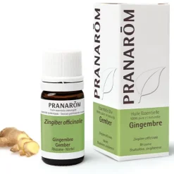 Pranarom huile essentielle Gingembre
