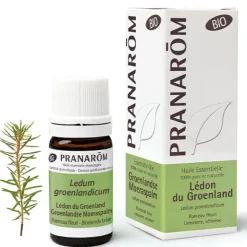 Pranarom huile essentielle Lédon du groenland Bio
