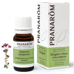 Pranarom huile essentielle Origan