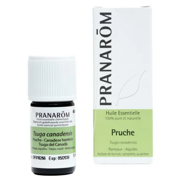 Pranarom Huile essentielle Pruche