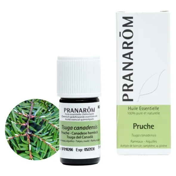 Pranarom Huile essentielle Pruche