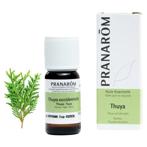 Pranarom Huile essentielle Thuya