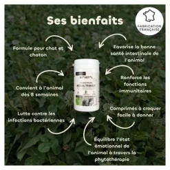 Probiotique chat et chaton Regul Transit Biovetol comprimés