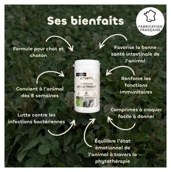 Probiotique chat et chaton Regul Transit Biovetol comprimés