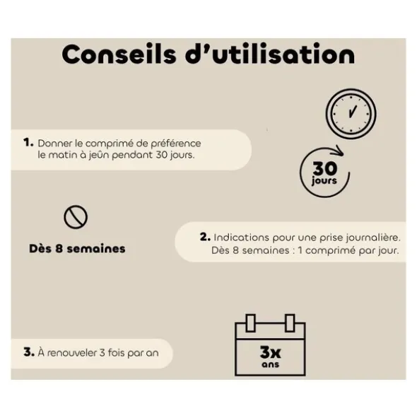 Probiotique chat et chaton Regul Transit Biovetol comprimés