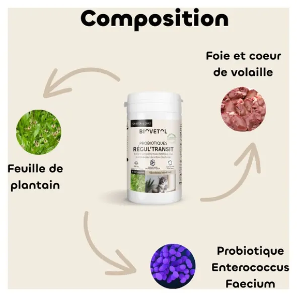 Probiotique chat et chaton Regul Transit Biovetol comprimés
