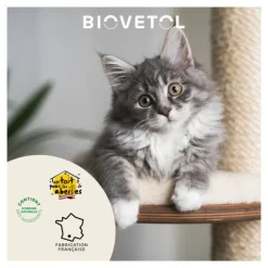 Probiotique chat et chaton Regul Transit Biovetol comprimés