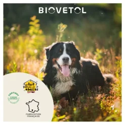 Probiotique chien et chiot Biovetol Régul Transit comprimés