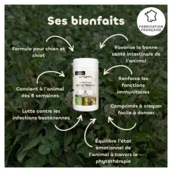 Probiotique chien et chiot Biovetol Régul Transit comprimés