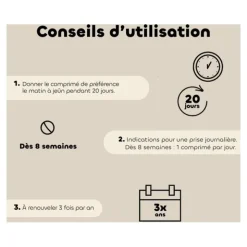 Probiotique chien et chiot Biovetol Régul Transit comprimés