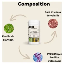 Probiotique chien et chiot Biovetol Régul Transit comprimés