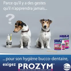 Prozym lamelles Chien