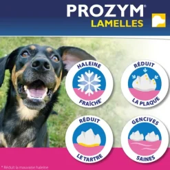 Prozym lamelles Chien