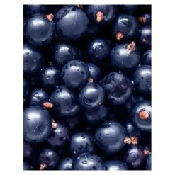 Pukka Tisane Ciel étoilé de fruits rouges biologique sachets