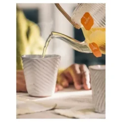 Pukka Tisane Citron Gingembre et Miel de Manuka biologique sachets