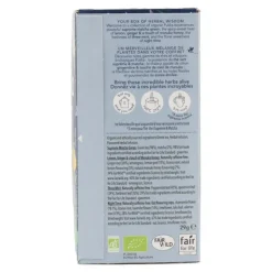 Pukka Tisanes & thé vert biologiques collection de plantes sachets