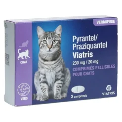Pyrantel Praziquantel Viatris vermifuge chat