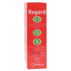 Regard solution multifonctions