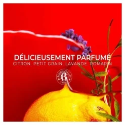 Roger et Gallet déodorant stick 24h Jean Marie Farina